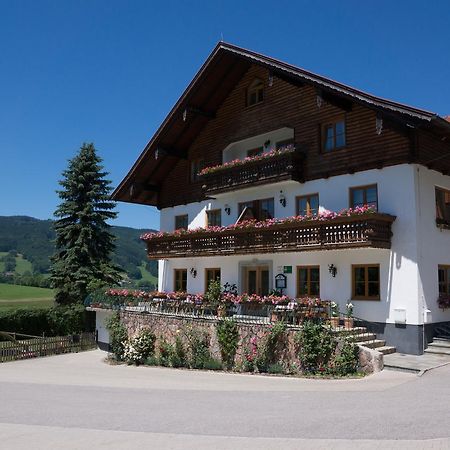 Bauernhof Kasleitner Villa Zell am Moos Bagian luar foto