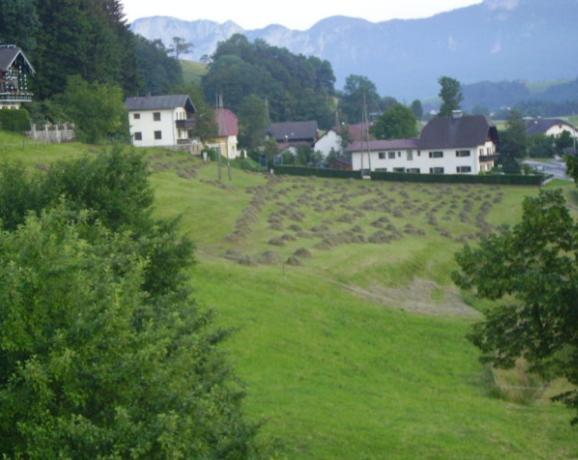 Bauernhof Kasleitner Villa Zell am Moos Bagian luar foto