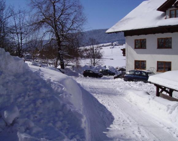 Bauernhof Kasleitner Villa Zell am Moos Bagian luar foto