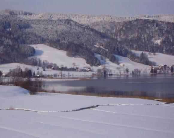 Bauernhof Kasleitner Villa Zell am Moos Bagian luar foto