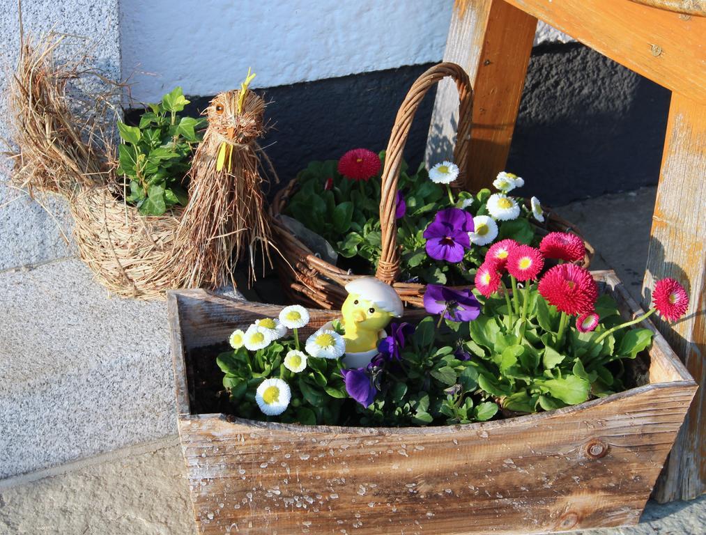 Bauernhof Kasleitner Villa Zell am Moos Bagian luar foto