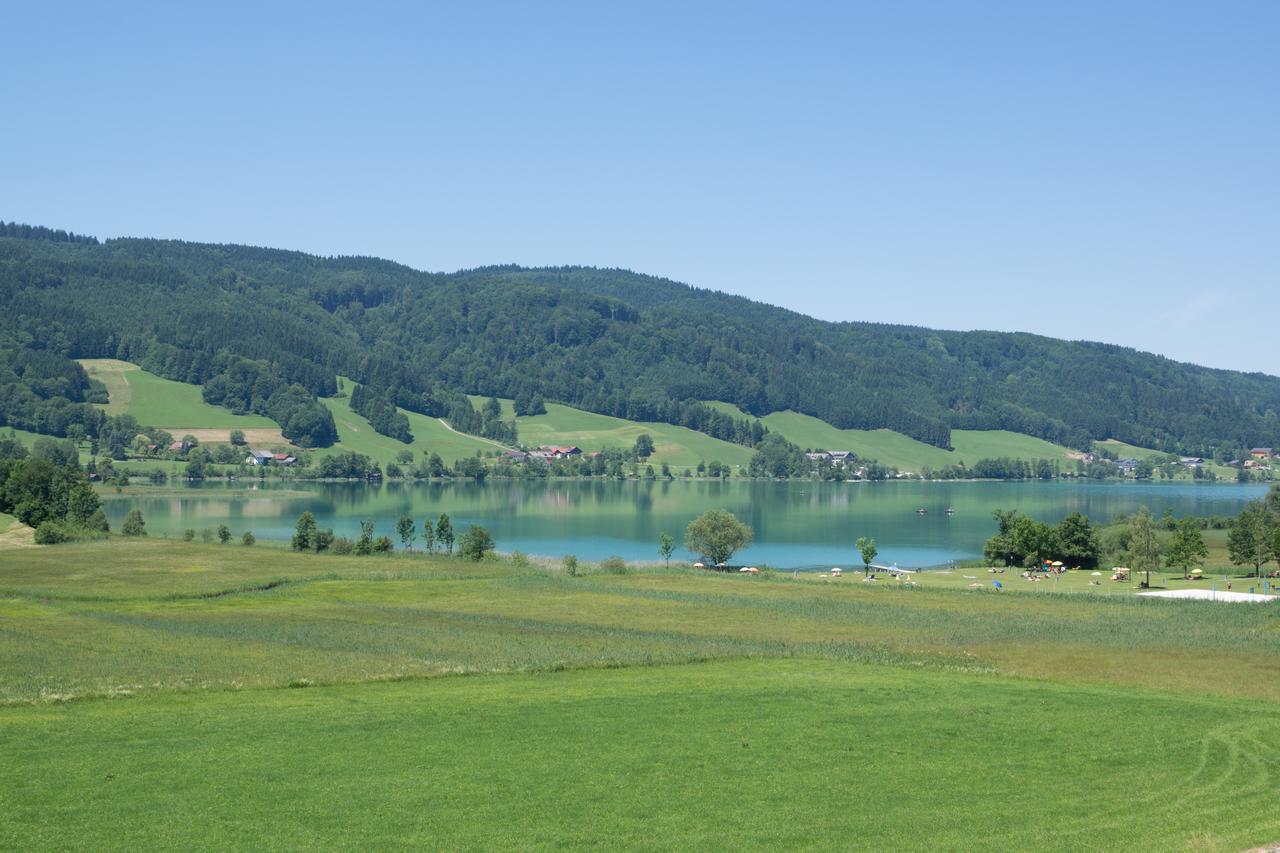 Bauernhof Kasleitner Villa Zell am Moos Bagian luar foto